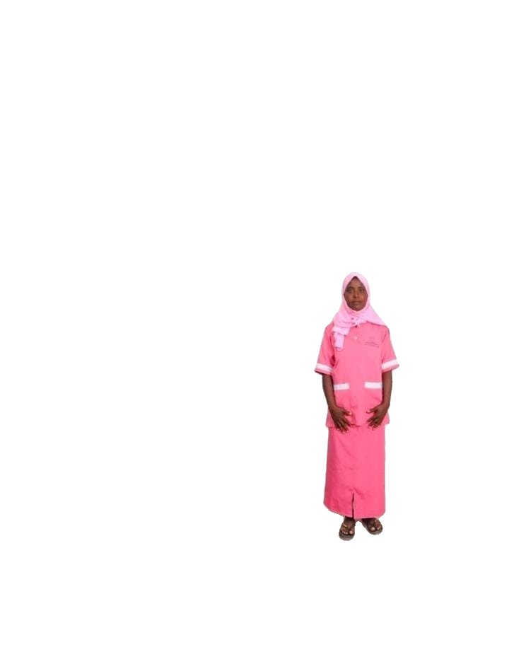 Adisalem